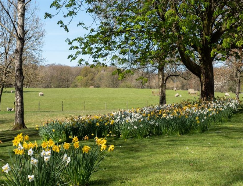 Images for South Courtyard, Alderley Park, Nether Alderley, Macclesfield