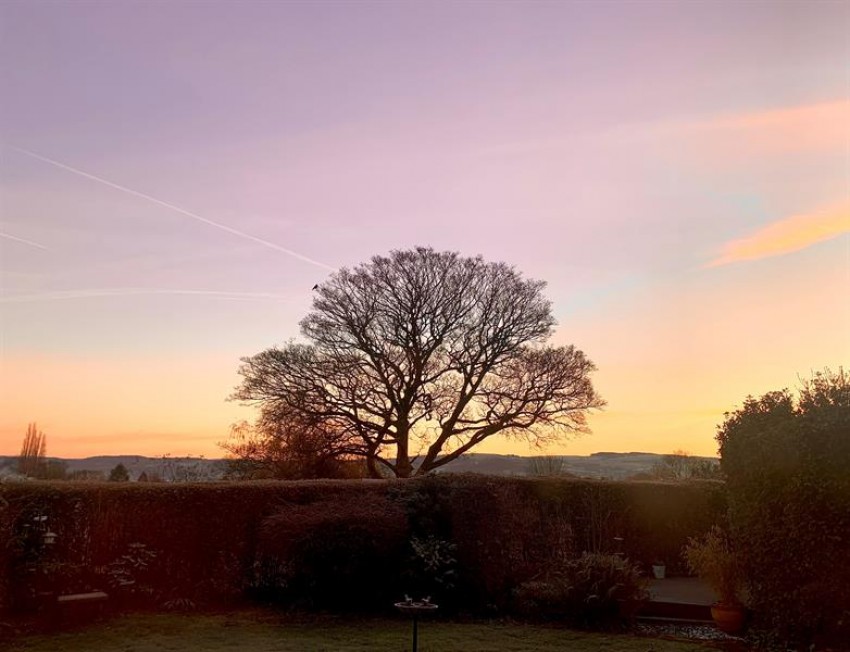 Images for Sycamore Crescent, Macclesfield