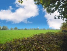 Images for The Maples, Warford Park, Faulkners Lane, Mobberley