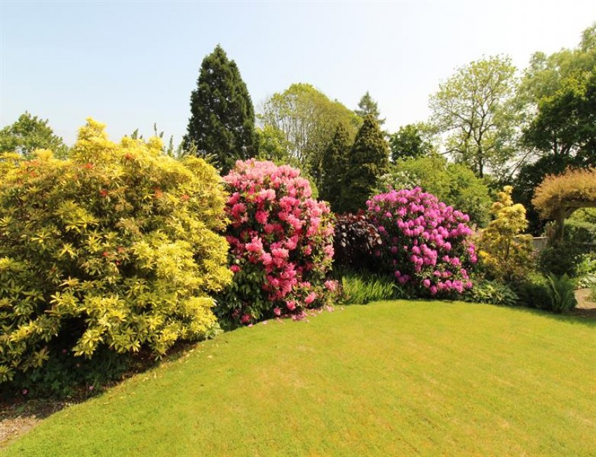 Images for Well Lane, Little Budworth, Tarporley