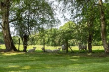 Images for Salters Lane, Siddington, SK11