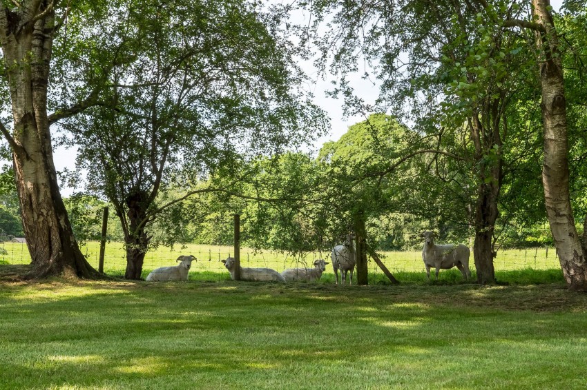 Images for Salters Lane, Siddington, SK11