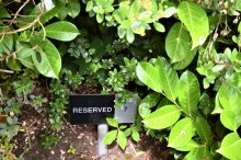 Images for Victoria Road, Macclesfield