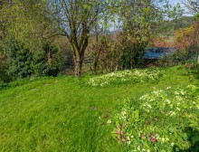 Images for Commonside, Alvanley, Frodsham