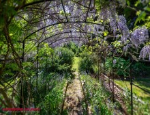 Images for Bramhall Park Road, Bramhall