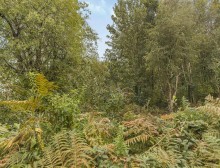 Images for Scholars Green Lane, Lymm