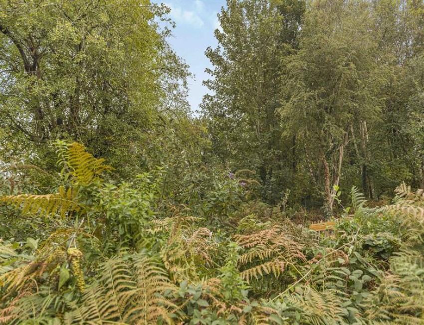 Images for Scholars Green Lane, Lymm