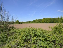 Images for Sycamore Drive, Sutton Weaver