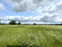 Images for Holmes Chapel Road, Lach Dennis