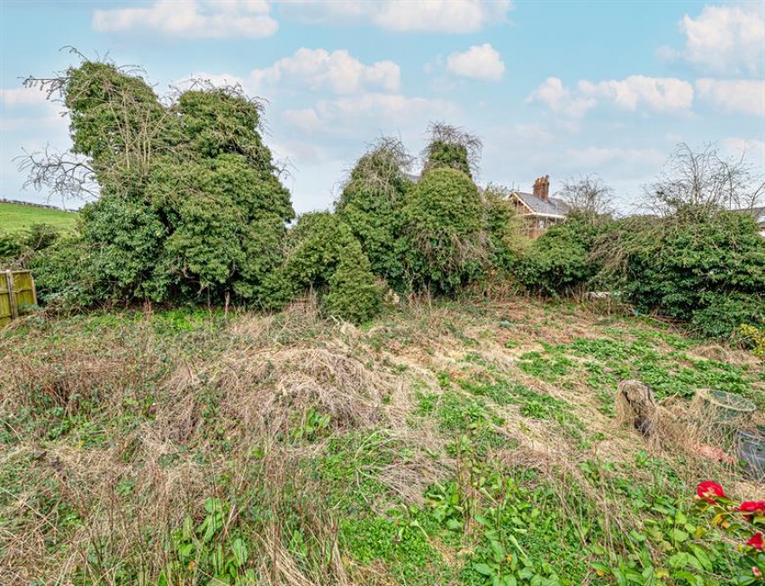 Images for Manley Common, Manley
