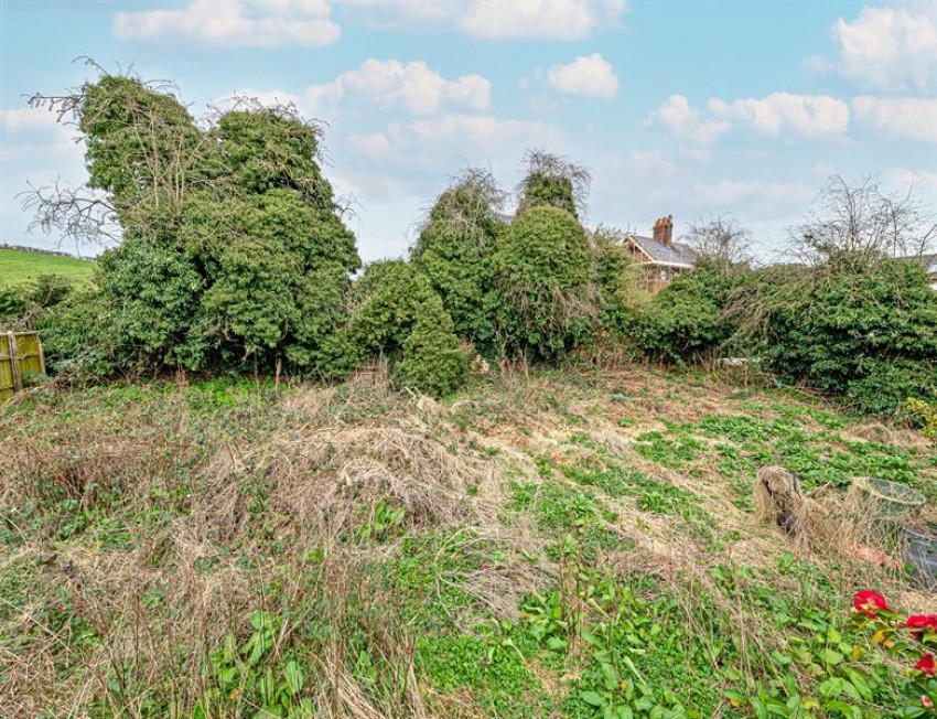 Images for Manley Common, Frodsham