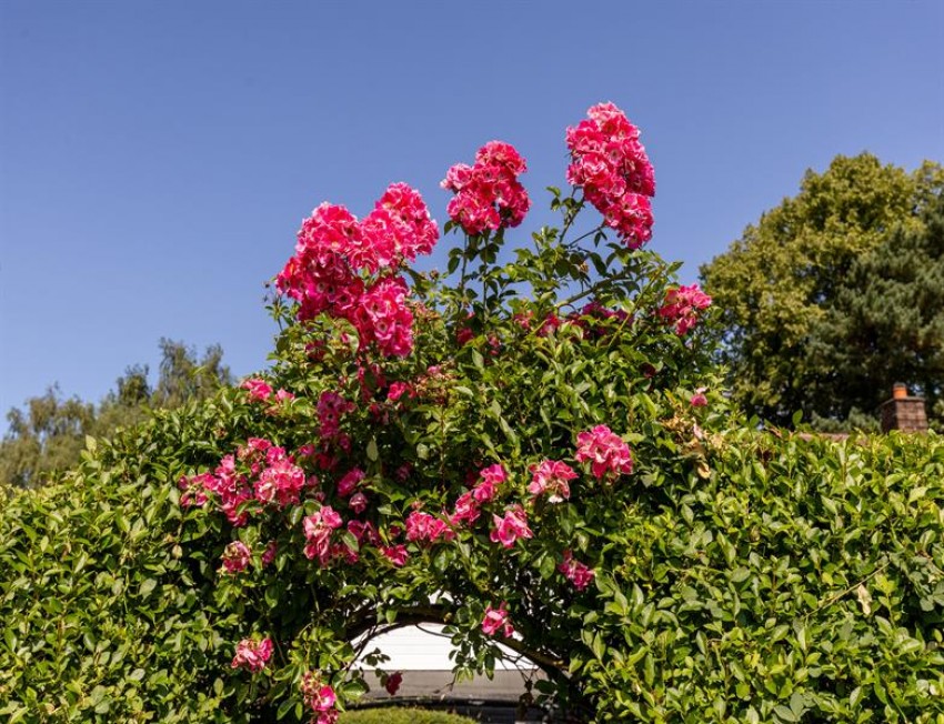 Images for Brookside - delightful detached bungalow in 0.24 acre