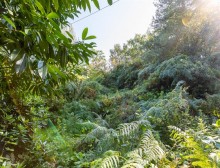 Images for Exciting development potential in Duddon Common