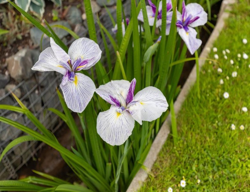 Images for The Paddock, Tarporley