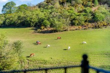 Images for Ecton Avenue, Macclesfield, SK10