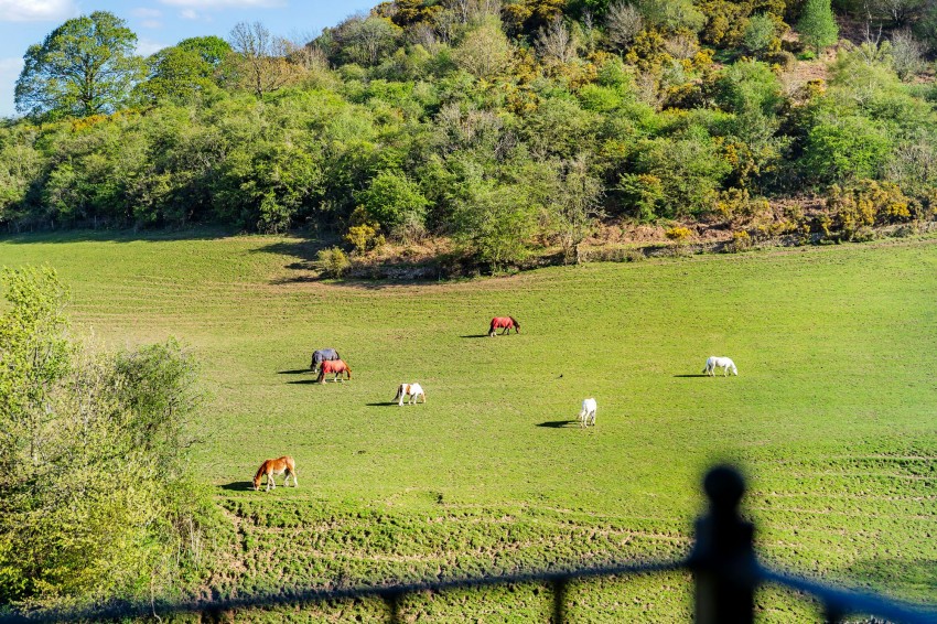 Images for Ecton Avenue, Macclesfield, SK10
