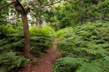 Images for Dalefords Lane, Whitegate, CW8