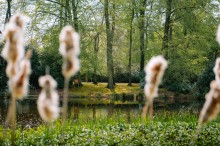 Images for Chester Road, Oakmere, CW8