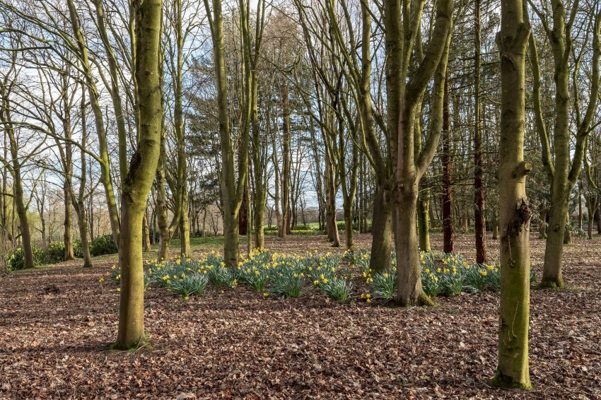 Images for Trap Road, Somerford Booths, CW12