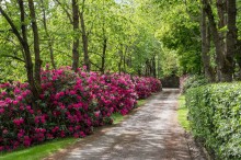 Images for Trap Road, Somerford Booths, CW12
