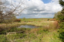 Images for Rowarth, High Peak, SK22