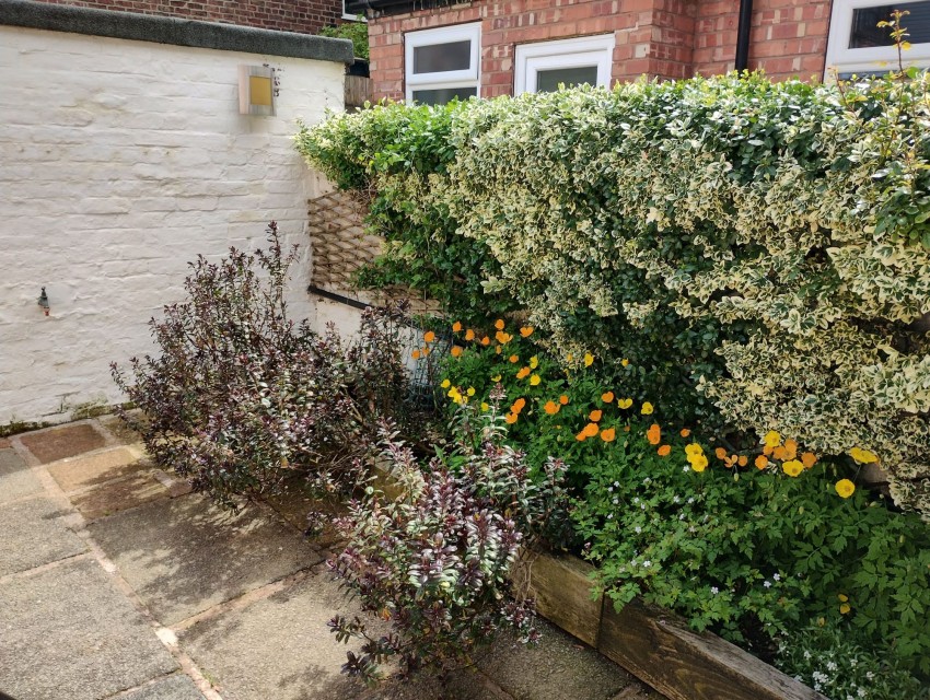 Images for Hyde Grove, Sale, M33