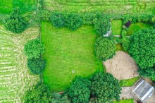 Images for Hulse Heath Lane, Mere, WA16