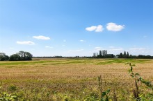 Images for Pepper Street, Appleton Thorn, WA4