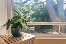 Images for The Avenue, Moss Manor, M33