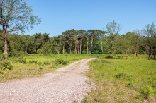 Images for Shays Lane, Little Budworth, CW6