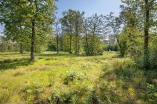 Images for Shays Lane, Little Budworth, CW6