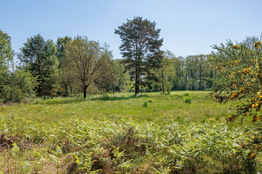 Images for Shays Lane, Little Budworth, CW6
