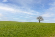 Images for 3 Ridley Hill Farm, Tarporley, CW6