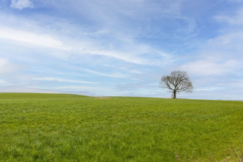 Images for 3 Ridley Hill Farm, Tarporley, CW6