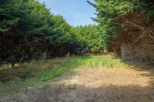 Images for Tarvin Road, Frodsham, WA6