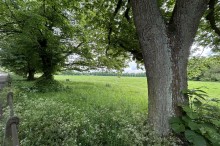 Images for Tabley Road, Knutsford, WA16