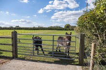 Images for Higher Lane, Dutton, WA4