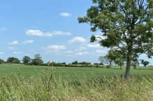 Images for Wrexham Road, Ridley, CW6