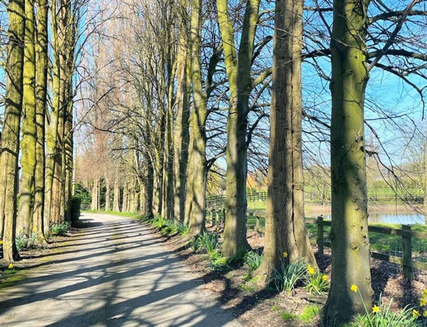 Images for Old Hall Lane, Over Tabley, WA16