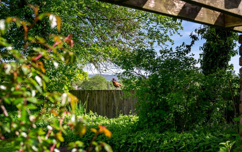 Images for Marsh Hall Lane, Chapel-En-Le-Frith, SK23