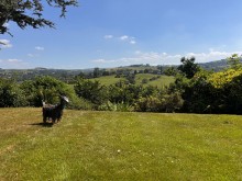 Images for Ladythorn Avenue, Marple, SK6