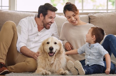 House hunting with children this summer?