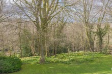 Images for The Coppice, Cuddington, CW8