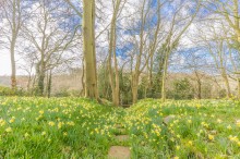 Images for The Coppice, Cuddington, CW8