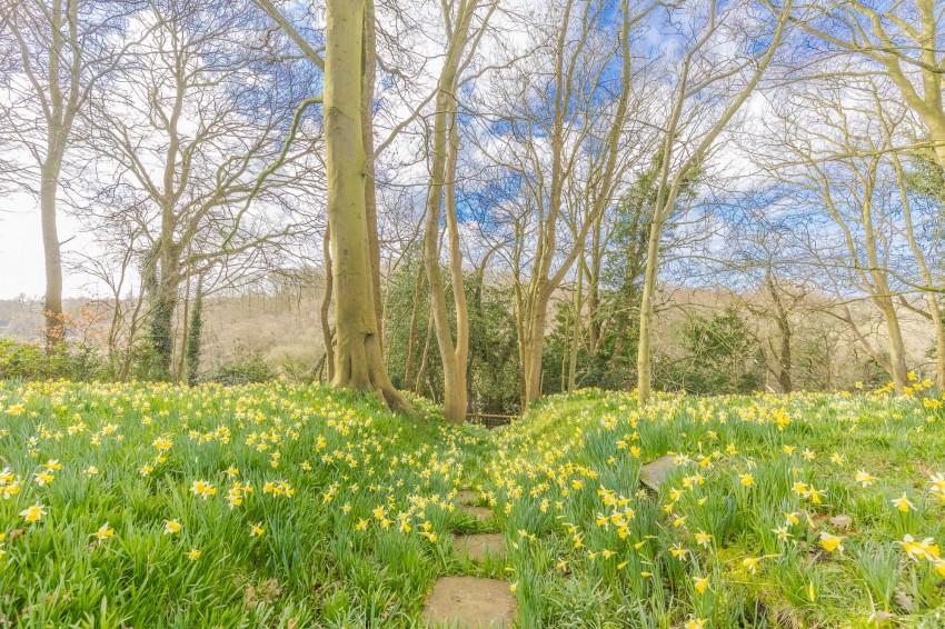 Images for The Coppice, Cuddington, CW8
