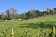 Images for Hathersage Drive, Glossop, SK13